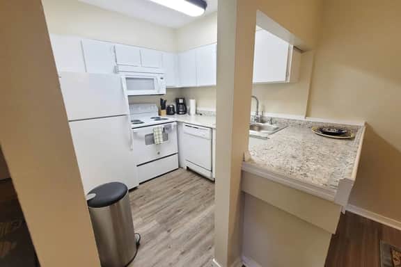 Large 1 BR Condo - Next to Oaks Mall and Hospital
