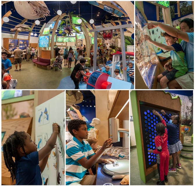 Journey Through Time: Florida Museum of Natural History