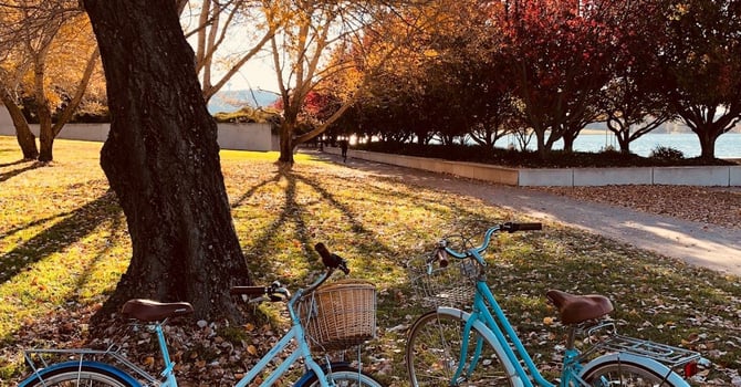 Chain Reaction Bicycles: Gainesville