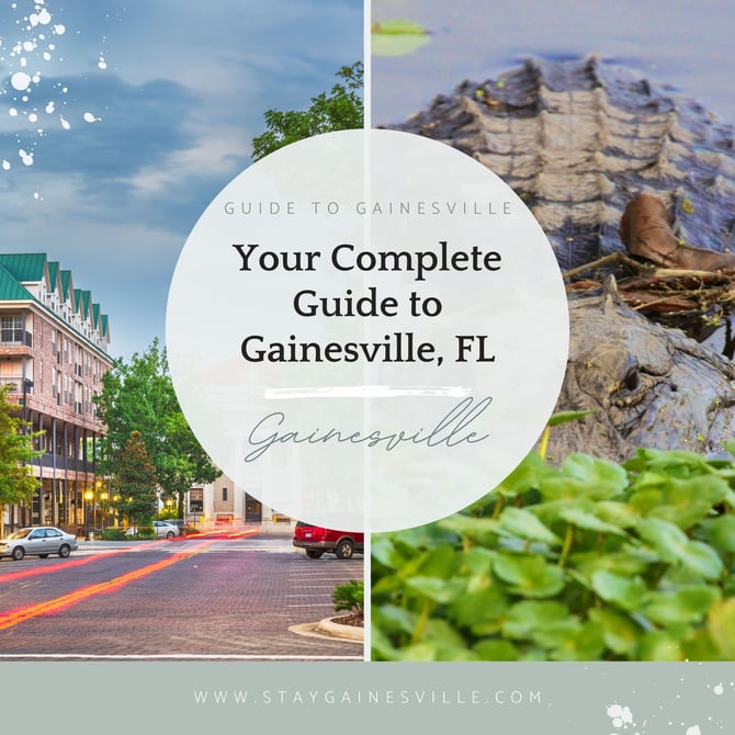 Gainesville Summer Events 2025 and Where to Stay: Lodging & Life