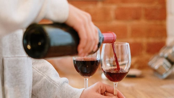 Island Grove Wine Company: A Complete Experience