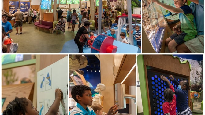 Journey Through Time: Florida Museum of Natural History