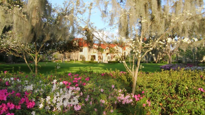 How To Make the Most of Your Gainesville, FL Visit