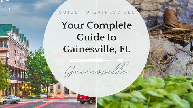 Guide to Gainesville: StayGainesville