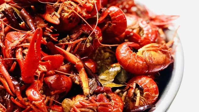 Harry's Seafood Bar and Grille: A Gainesville Odyssey
