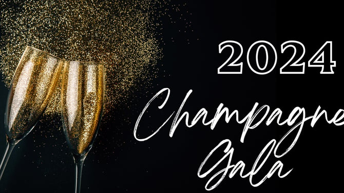 Dancing With the Stars: Champagne Gala for Dance Alive!