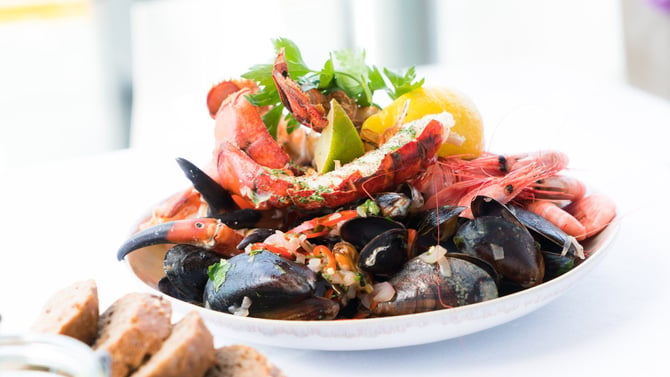 Island Escape in the Heart of Gainesville: Bahama Breeze