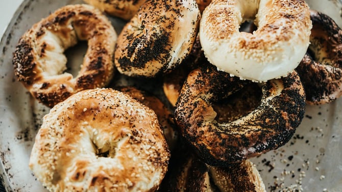 Bagel Bakery: Gainesville