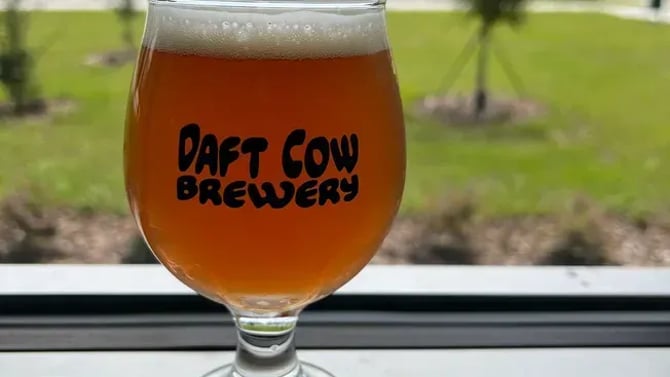 Gainesville's Hoppy Haven: Unveiling the Story of Daft Cow Brewery