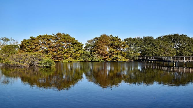 Gainesville as Home Base for Exploring North Florida