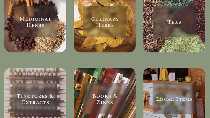 Haven for Herbal Harmony:A Thousand Leaves Herb Shop Gainesville