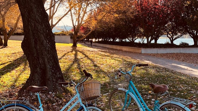 Chain Reaction Bicycles: Gainesville