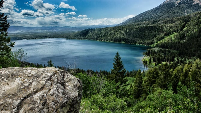 More hiking in Wyoming- Wildflower Trail, Casper Ridge Loop Trail, and Phelps Lake