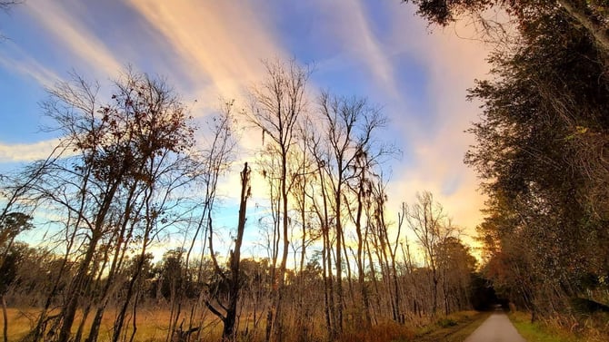 A Cyclist's Paradise: The Hawthorne Trail State Park