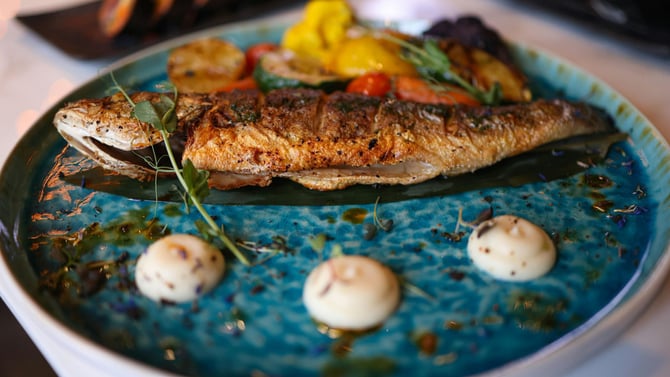 Paramount Grill: A Culinary Landmark in Gainesville, Florida