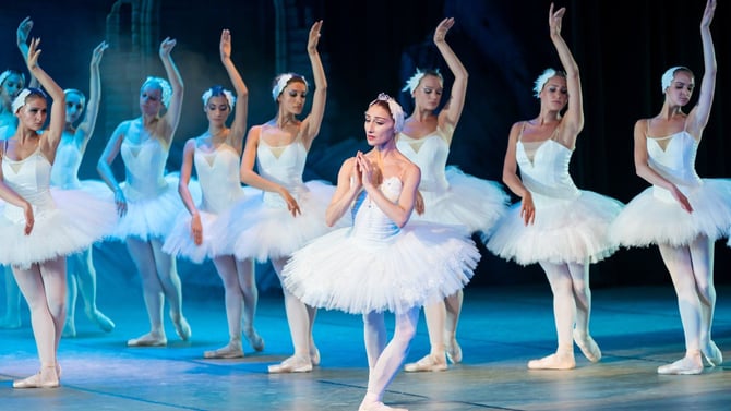 Dance Alive National Ballet: Elevating Culture in Gainesville, FL