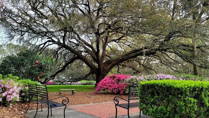 Free Things To Do in Gainesville, FL: StayGainesville