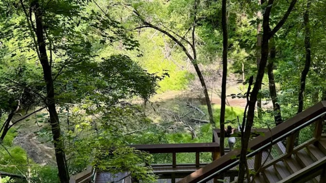 StayGainesville's Ultimate Guide to Local Outdoor Attractions
