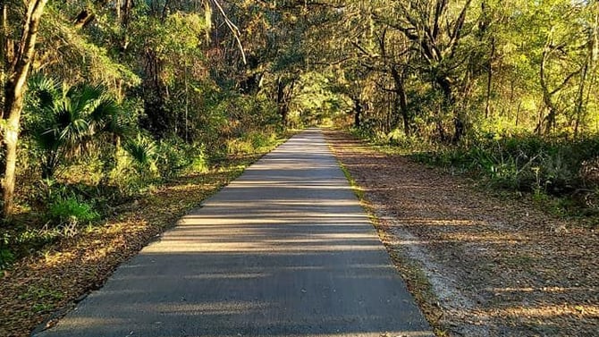 Top 10 Adventures for the Solo Traveler in Gainesville, FL