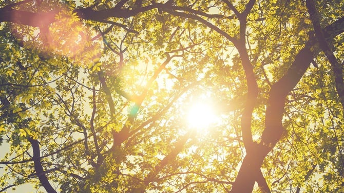 5 Ways to Stay Cool: Gainesville