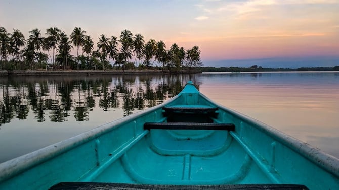 Exploring Gainesville: Cycle, Canoe, and Cheers