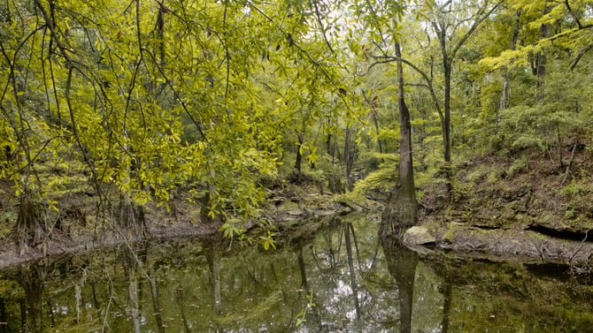 Top 5 Things To Do in High Springs, FL