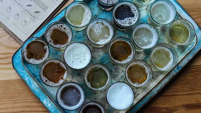 Plan Your St. Paddy's Day Brewery Tour in Gainesville, FL