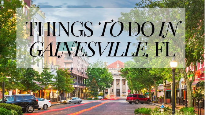 Spring into Gainesville: 4 Amazing Events Happening This Weekend