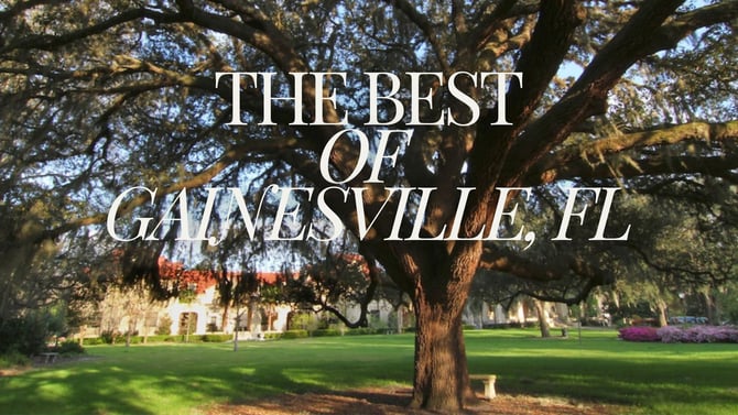 The Best Things to do in Gainesville, FL: Vacation Guide